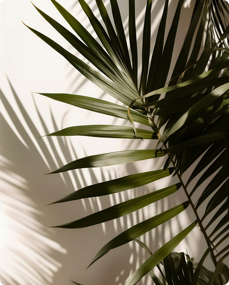 the plant man
